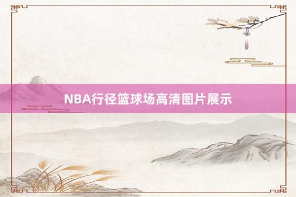 NBA行径篮球场高清图片展示